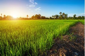 Image de la catégorie Petits matériels