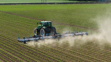 Image de Herse étrille SIGMA 12.3 M